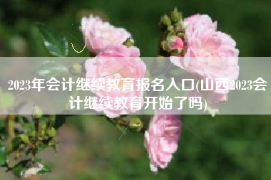 2023年会计继续教育报名入口(山西2023会计继续教育开始了吗)