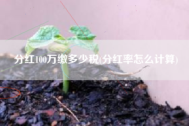 分红100万缴多少税(分红率怎么计算)