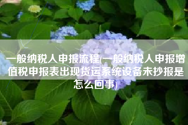 一般纳税人申报流程(一般纳税人申报增值税申报表出现货运系统设备未抄报是怎么回事)