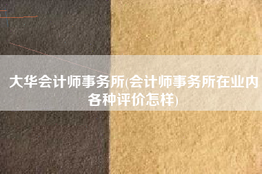 大华会计师事务所(会计师事务所在业内各种评价怎样)