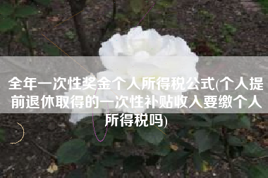 全年一次性奖金个人所得税公式(个人提前退休取得的一次性补贴收入要缴个人所得税吗)