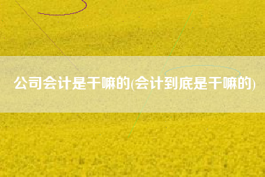 公司会计是干嘛的(会计到底是干嘛的)