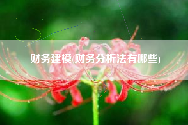 财务建模(财务分析法有哪些)