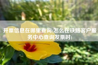 开票信息在哪里查询(怎么在铁路客户服务中心查询发票时)