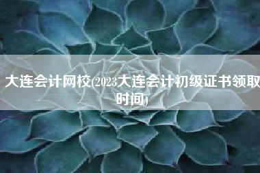 大连会计网校(2023大连会计初级证书领取时间)