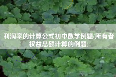 利润率的计算公式初中数学例题(所有者权益总额计算的例题)