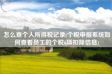 详细阅读:怎么查个人所得税记录(个税申报系统如何查看员工的个税6项扣除信息) 怎么查个人所得税记录(个税申报系统如何查看员工的个税6项扣除信息)