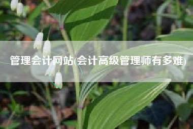 详细阅读:管理会计网站(会计高级管理师有多难) 管理会计网站(会计高级管理师有多难)