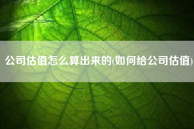 公司估值怎么算出来的(如何给公司估值)