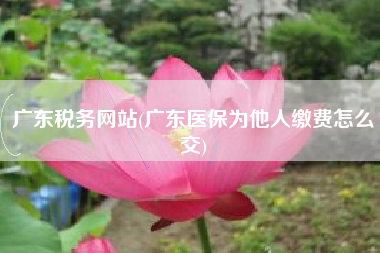 广东税务网站(广东医保为他人缴费怎么交)