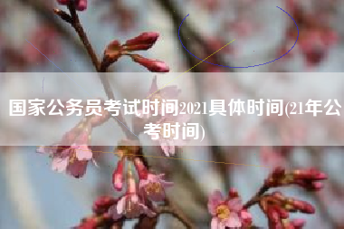 国家公务员考试时间2021具体时间(21年公考时间)