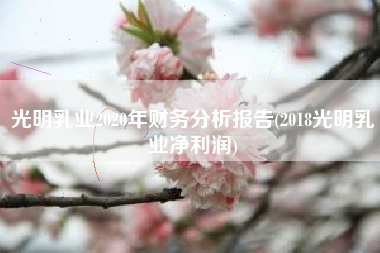 光明乳业2020年财务分析报告(2018光明乳业净利润)
