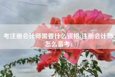 考注册会计师需要什么资格(注册会计师怎么备考)