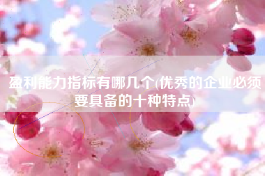 盈利能力指标有哪几个(优秀的企业必须要具备的十种特点)