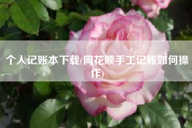 个人记账本下载(同花顺手工记账如何操作)