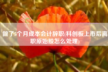 做了5个月成本会计辞职(科创板上市后离职原始股怎么处理)