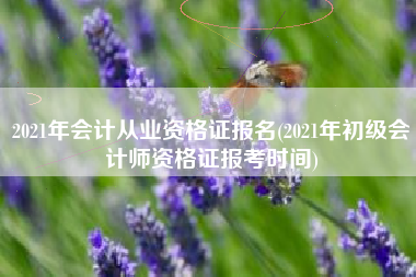 2021年会计从业资格证报名(2021年初级会计师资格证报考时间)