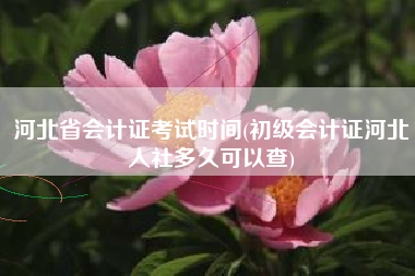 详细阅读:河北省会计证考试时间(初级会计证河北人社多久可以查) 河北省会计证考试时间(初级会计证河北人社多久可以查)