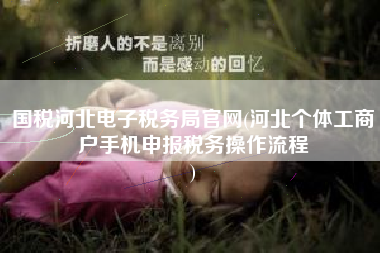 国税河北电子税务局官网(河北个体工商户手机申报税务操作流程
)