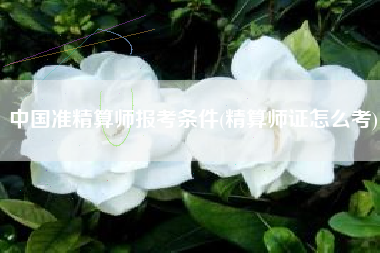 中国准精算师报考条件(精算师证怎么考)