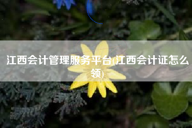 江西会计管理服务平台(江西会计证怎么领)