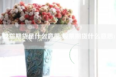 股指期货是什么意思(股票期货什么意思)