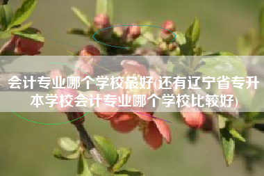 会计专业哪个学校最好(还有辽宁省专升本学校会计专业哪个学校比较好)