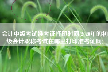 会计中级考试准考证打印时间(2020年的初级会计职称考试在哪里打印准考证啊)