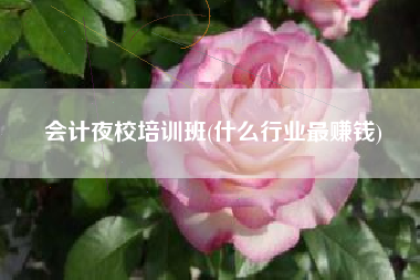 会计夜校培训班(什么行业最赚钱)