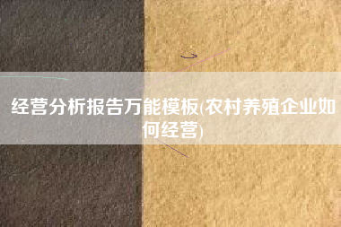 经营分析报告万能模板(农村养殖企业如何经营)