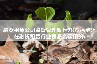 融资租赁公司监督管理暂行办法(福费廷在融资租赁行业是怎么运用的)