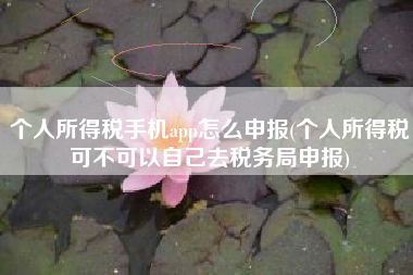 个人所得税手机app怎么申报(个人所得税可不可以自己去税务局申报)