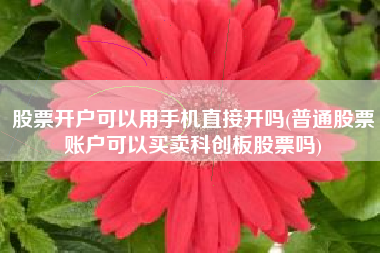 详细阅读:股票开户可以用手机直接开吗(普通股票账户可以买卖科创板股票吗) 股票开户可以用手机直接开吗(普通股票账户可以买卖科创板股票吗)