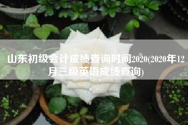 山东初级会计成绩查询时间2020(2020年12月三级英语成绩查询)