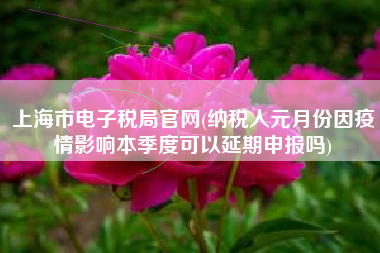 上海市电子税局官网(纳税人元月份因疫情影响本季度可以延期申报吗)