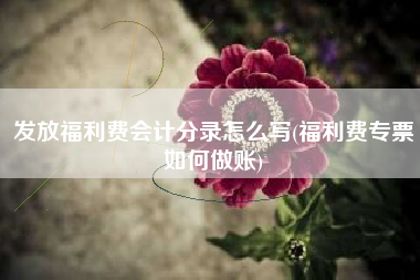发放福利费会计分录怎么写(福利费专票如何做账)