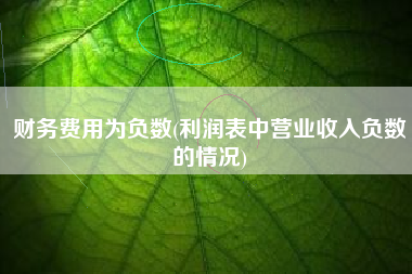 财务费用为负数(利润表中营业收入负数的情况)