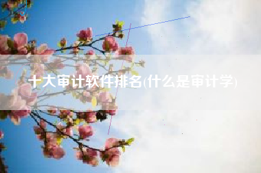 十大审计软件排名(什么是审计学)