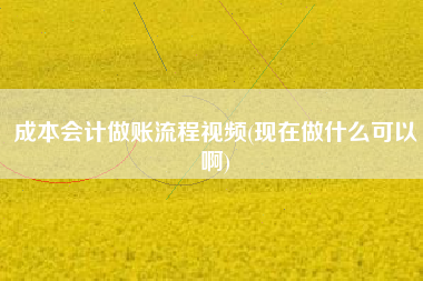 成本会计做账流程视频(现在做什么可以啊)