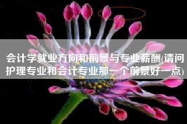 会计学就业方向和前景与专业薪酬(请问护理专业和会计专业那一个前景好一点)