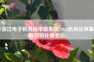 浙江电子税务局申报系统(2021杭州社保基数如何补缴差价)