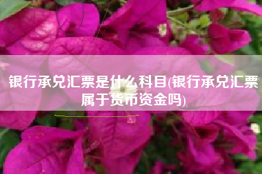 银行承兑汇票是什么科目(银行承兑汇票属于货币资金吗)