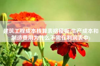 建筑工程成本核算表格模板(生产成本和制造费用为什么不需在利润表中)