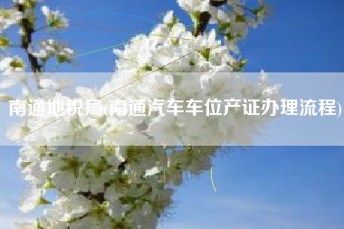 南通地税局(南通汽车车位产证办理流程)
