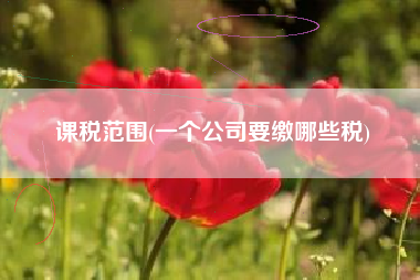 课税范围(一个公司要缴哪些税)