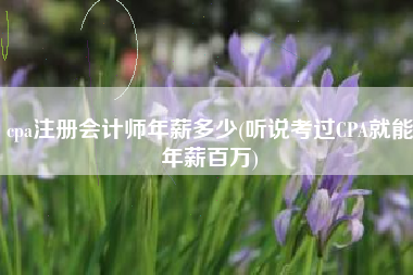 cpa注册会计师年薪多少(听说考过CPA就能年薪百万)