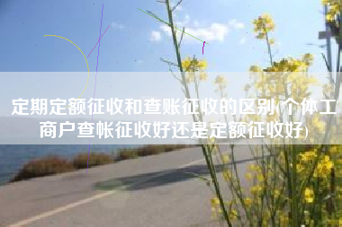 定期定额征收和查账征收的区别(个体工商户查帐征收好还是定额征收好)