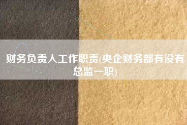 财务负责人工作职责(央企财务部有没有总监一职)