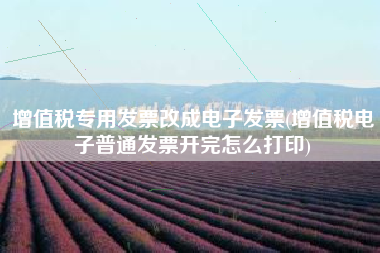 增值税专用发票改成电子发票(增值税电子普通发票开完怎么打印)