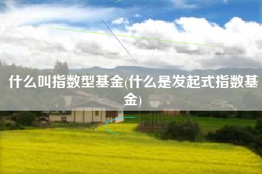 什么叫指数型基金(什么是发起式指数基金)